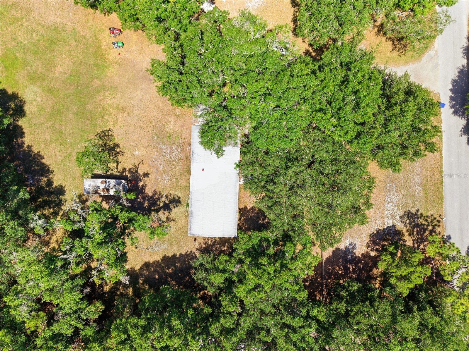 17214 Chinaberry Road Lutz FL 33558 TB8516675 image5
