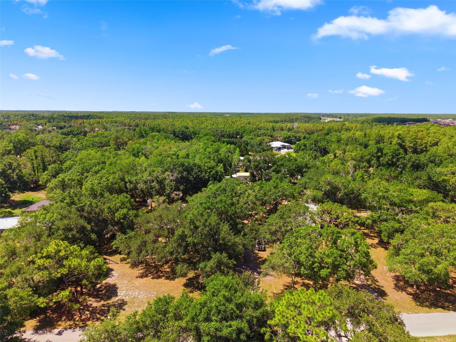 17214 Chinaberry Road Lutz FL 33558 TB8516675 image8