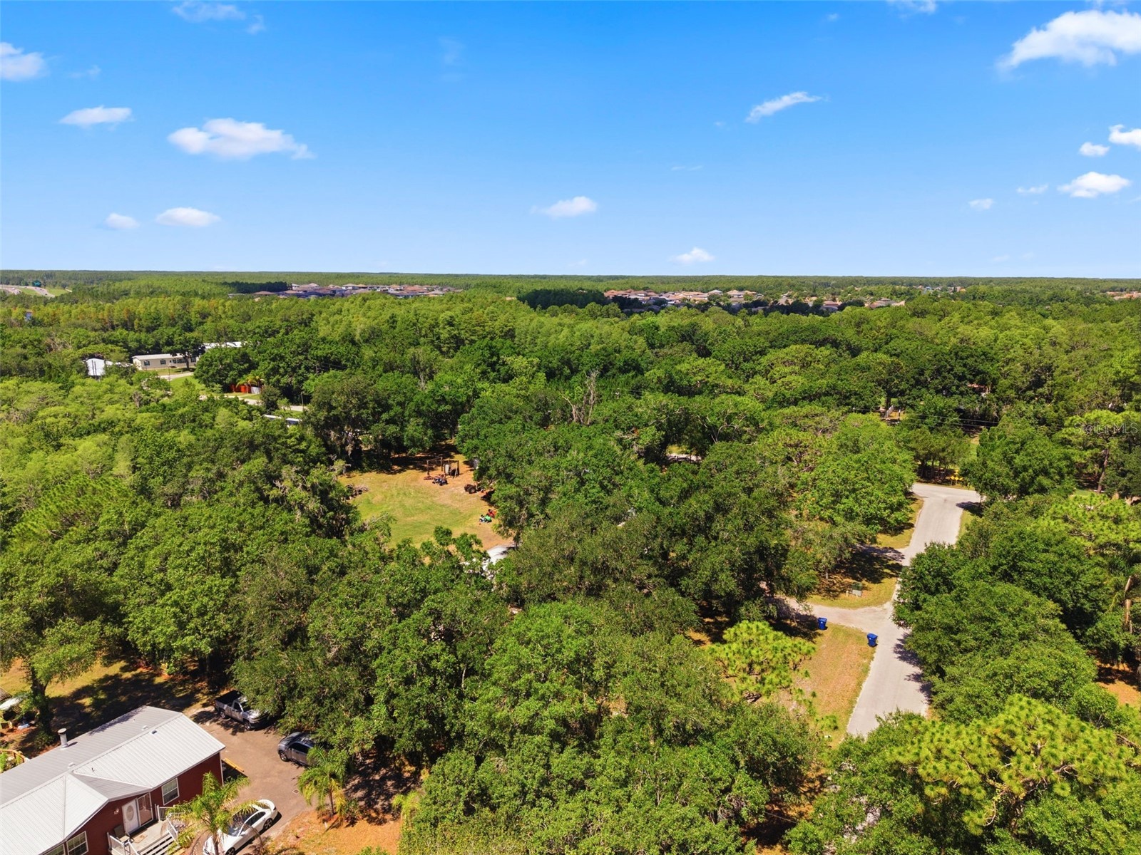 17214 Chinaberry Road Lutz FL 33558 TB8516675 image9