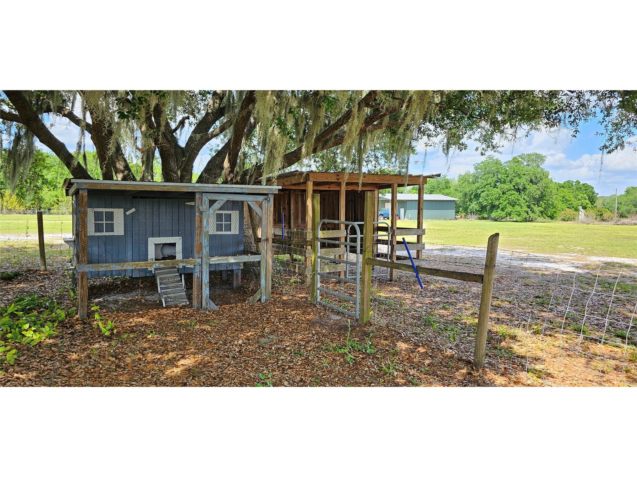 17216 Alderman Turner Road Wimauma FL 33598 TB8493426 image43