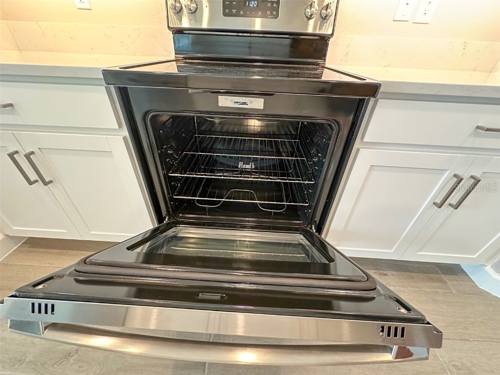 17216 Mango Shay Court Land O Lakes FL 34638 TB8452340 image11