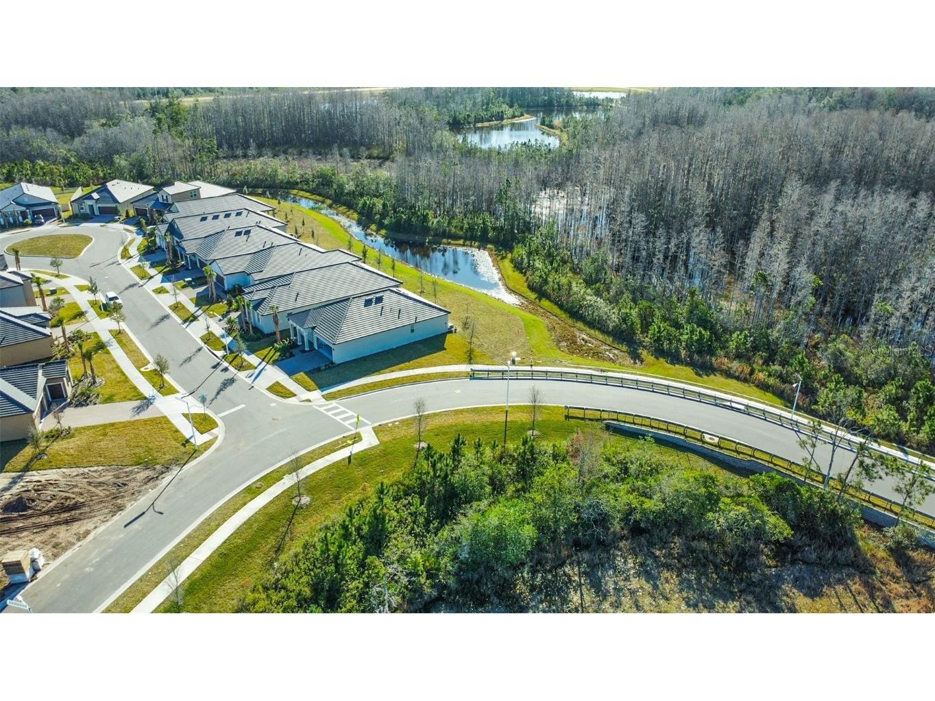 17216 Mango Shay Court Land O Lakes FL 34638 TB8452340 image2