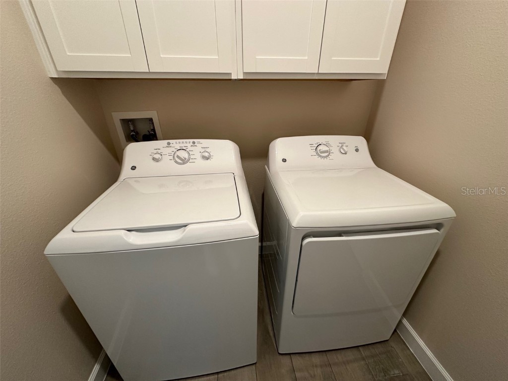 17216 Mango Shay Court Land O Lakes FL 34638 TB8452340 image21