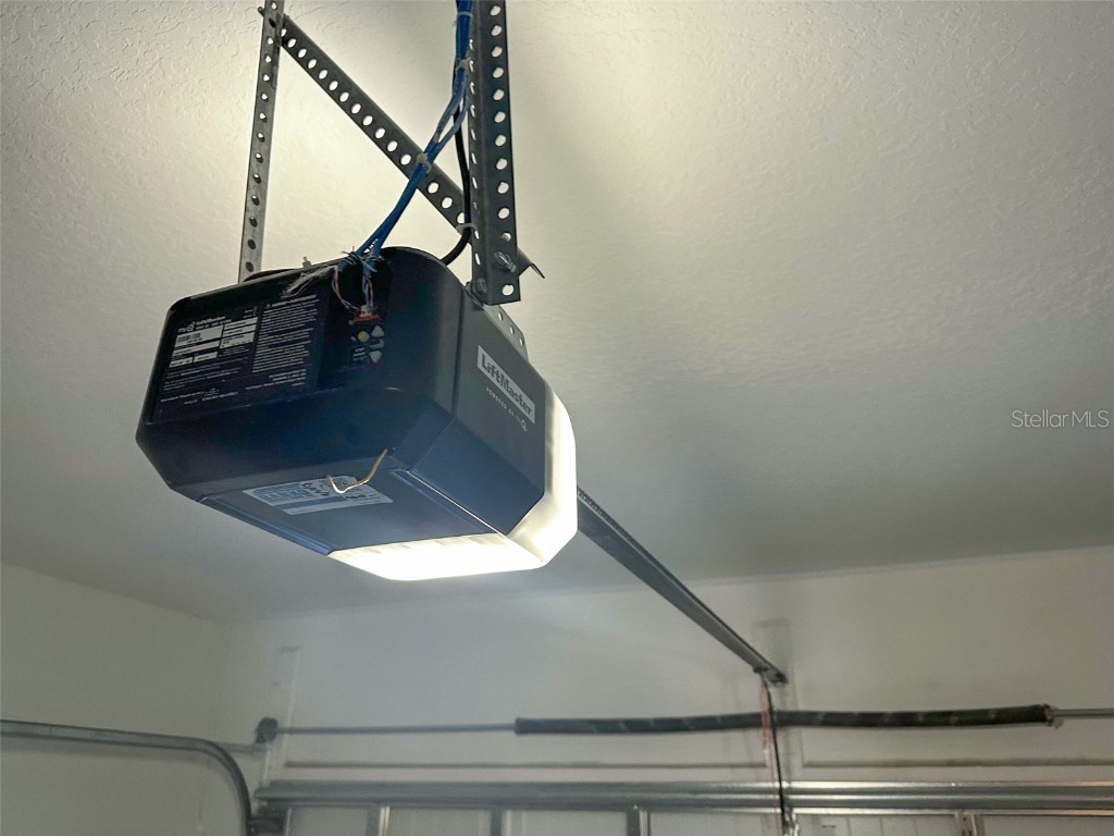 17216 Mango Shay Court Land O Lakes FL 34638 TB8452340 image29