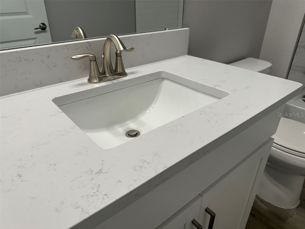 17216 Mango Shay Court Land O Lakes FL 34638 TB8452340 image31