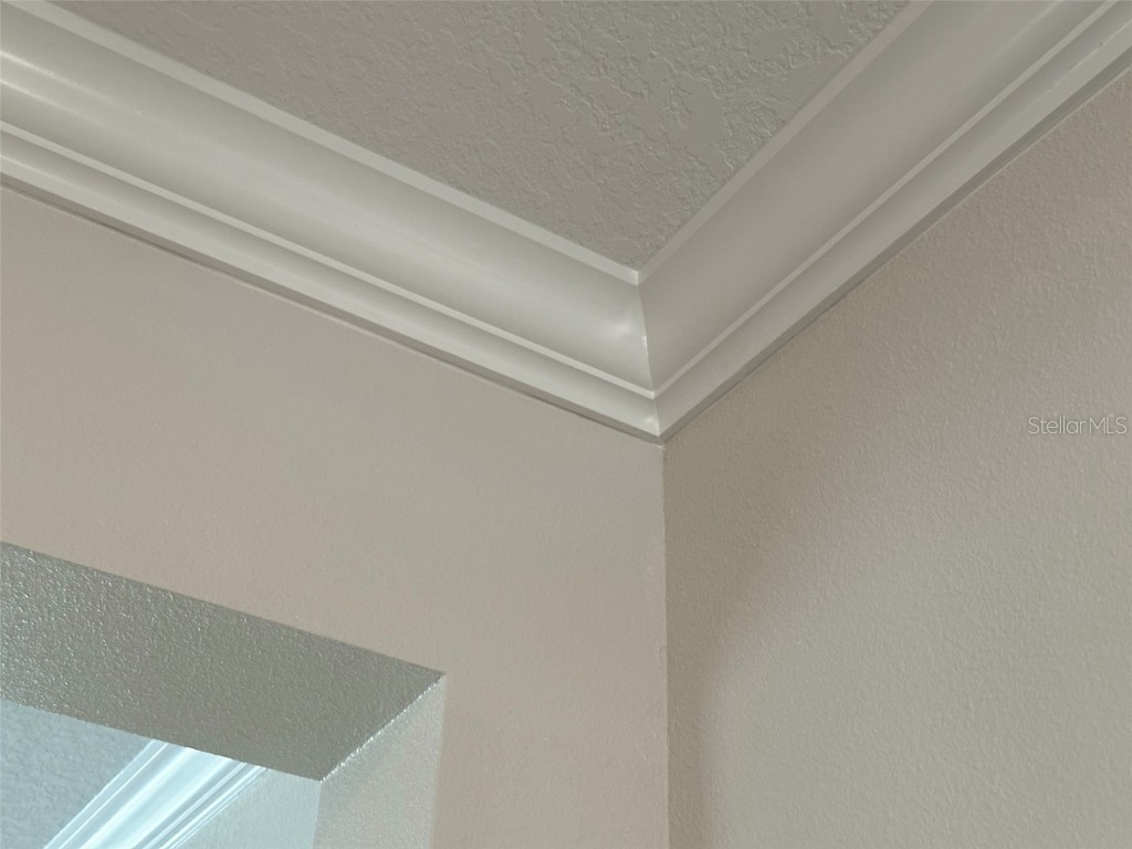 17216 Mango Shay Court Land O Lakes FL 34638 TB8452340 image33