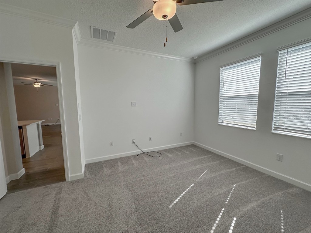 17216 Mango Shay Court Land O Lakes FL 34638 TB8452340 image37