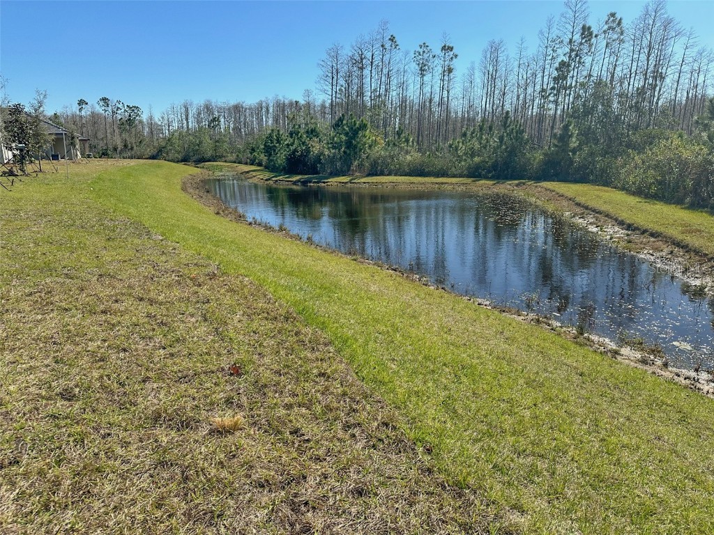 17216 Mango Shay Court Land O Lakes FL 34638 TB8452340 image45