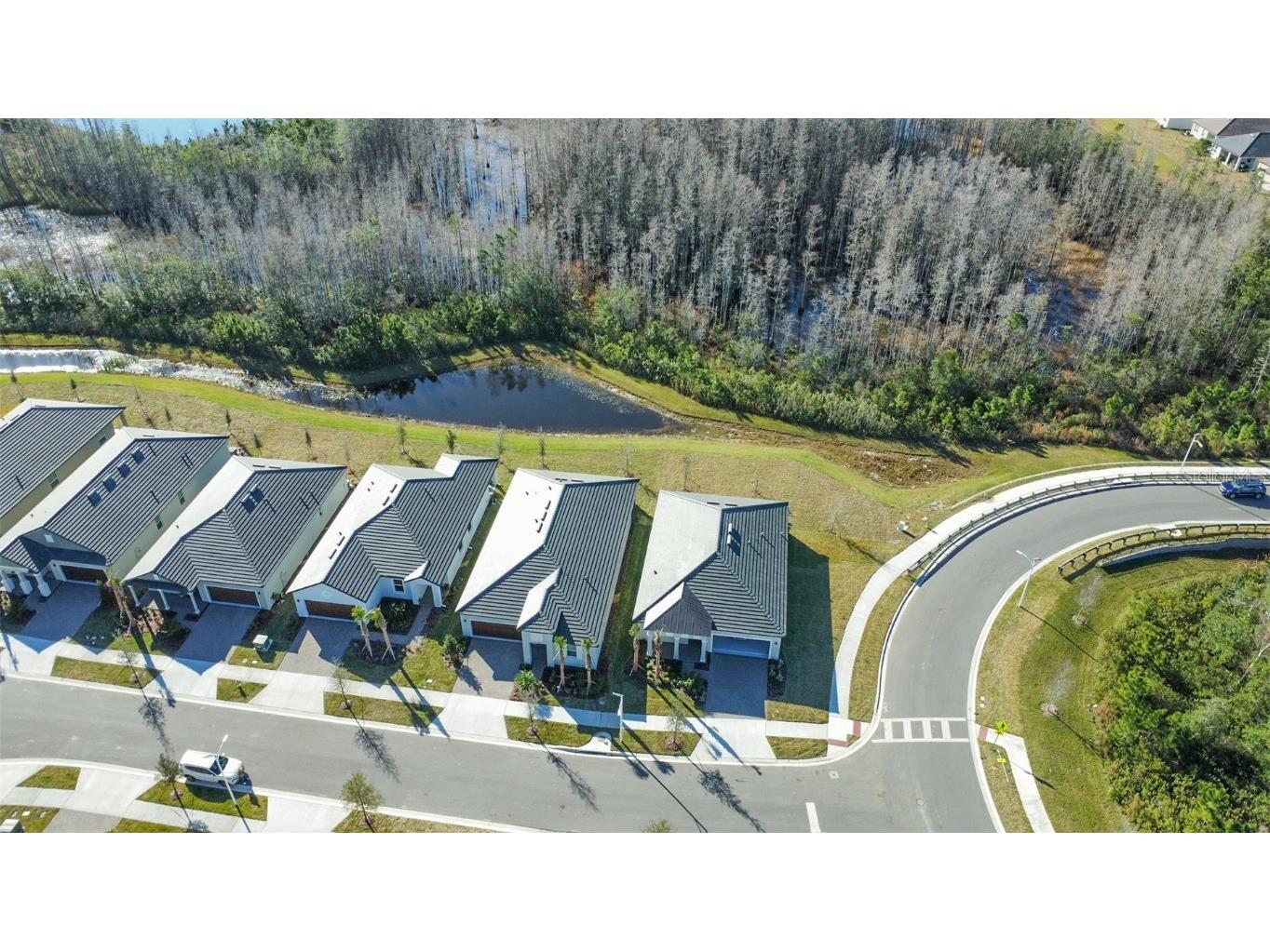 17216 Mango Shay Court Land O Lakes FL 34638 TB8452340 image47