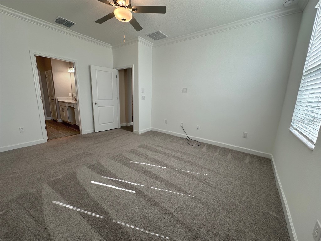 17216 Mango Shay Court Land O Lakes FL 34638 TB8452340 image48