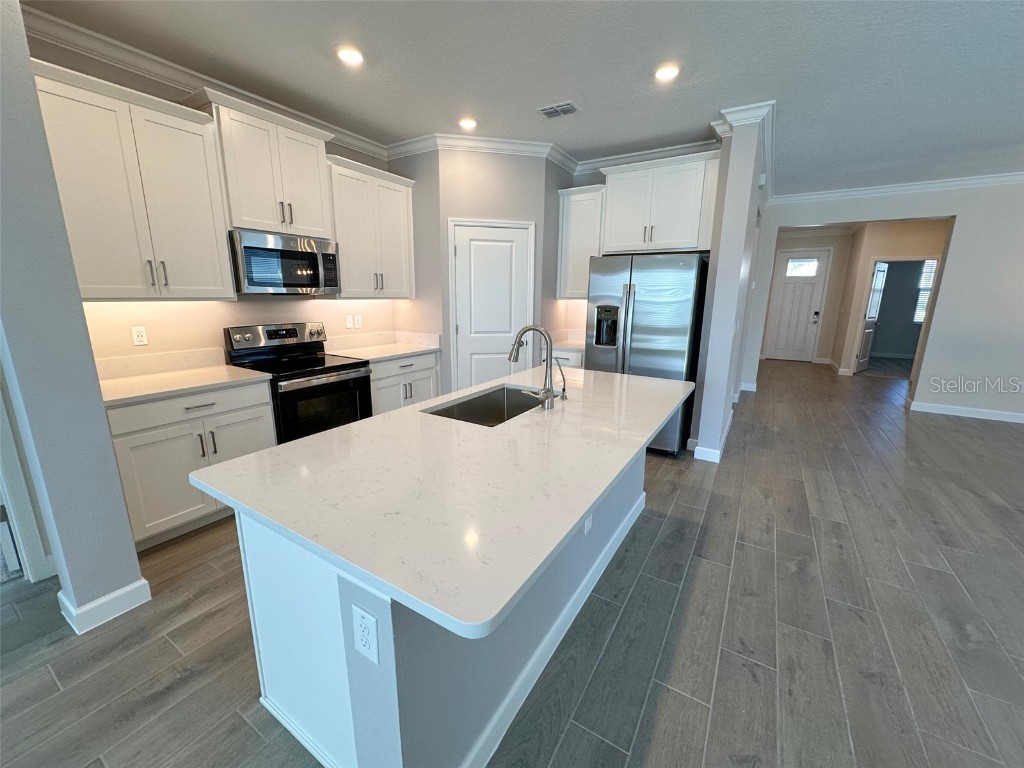 17216 Mango Shay Court Land O Lakes FL 34638 TB8452340 image5