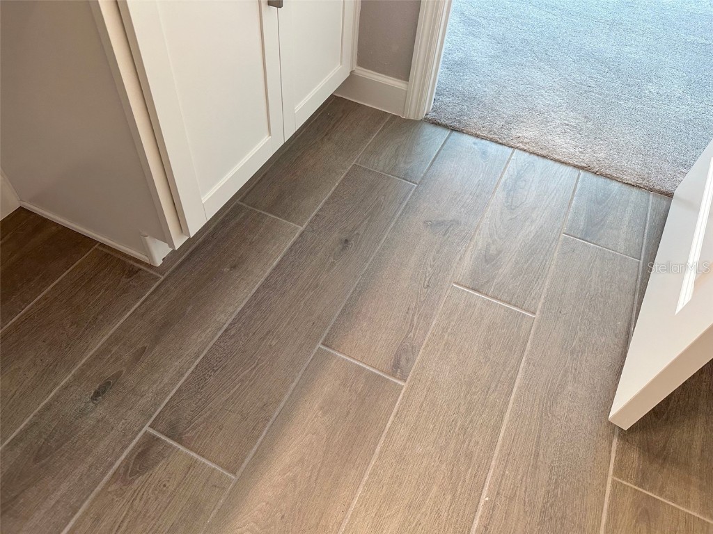 17216 Mango Shay Court Land O Lakes FL 34638 TB8452340 image52