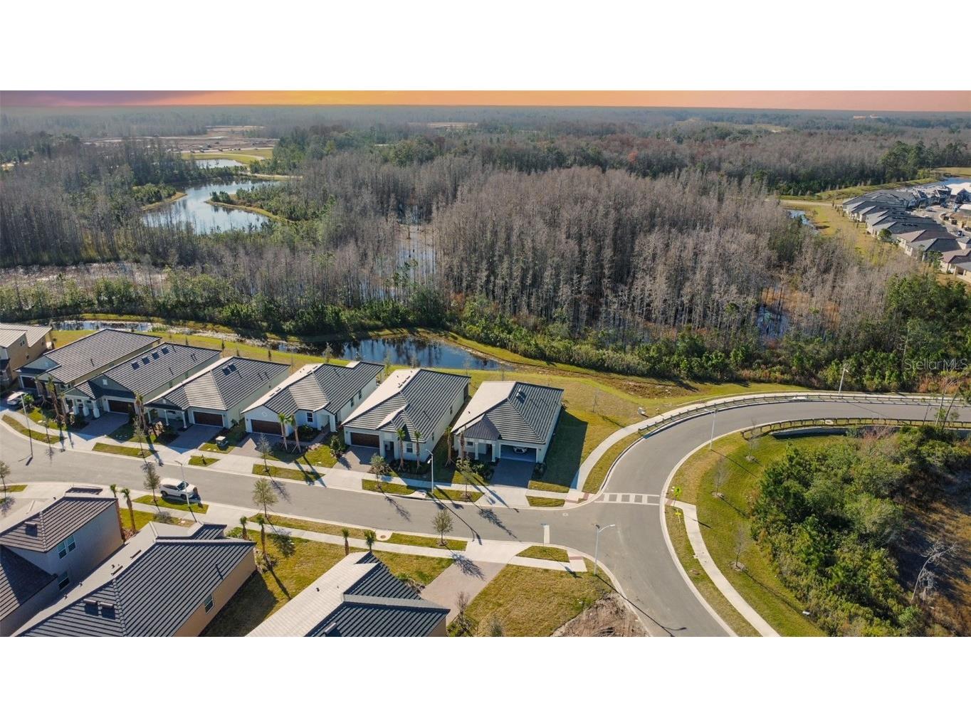 17216 Mango Shay Court Land O Lakes FL 34638 TB8452340 image55