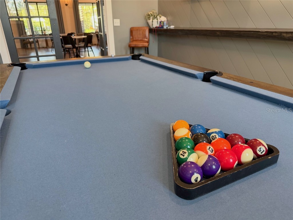 17216 Mango Shay Court Land O Lakes FL 34638 TB8452340 image63