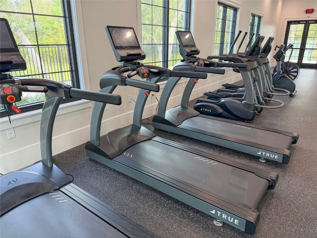 17216 Mango Shay Court Land O Lakes FL 34638 TB8452340 image70