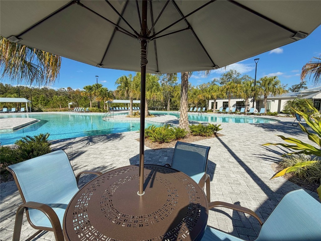 17216 Mango Shay Court Land O Lakes FL 34638 TB8452340 image79