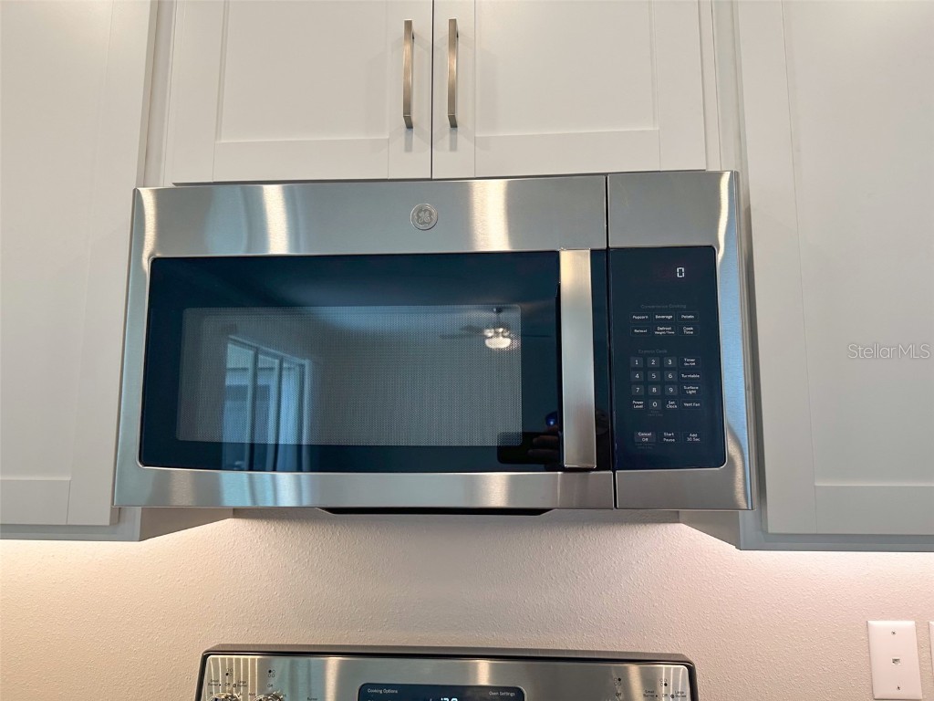 17216 Mango Shay Court Land O Lakes FL 34638 TB8452342 image11