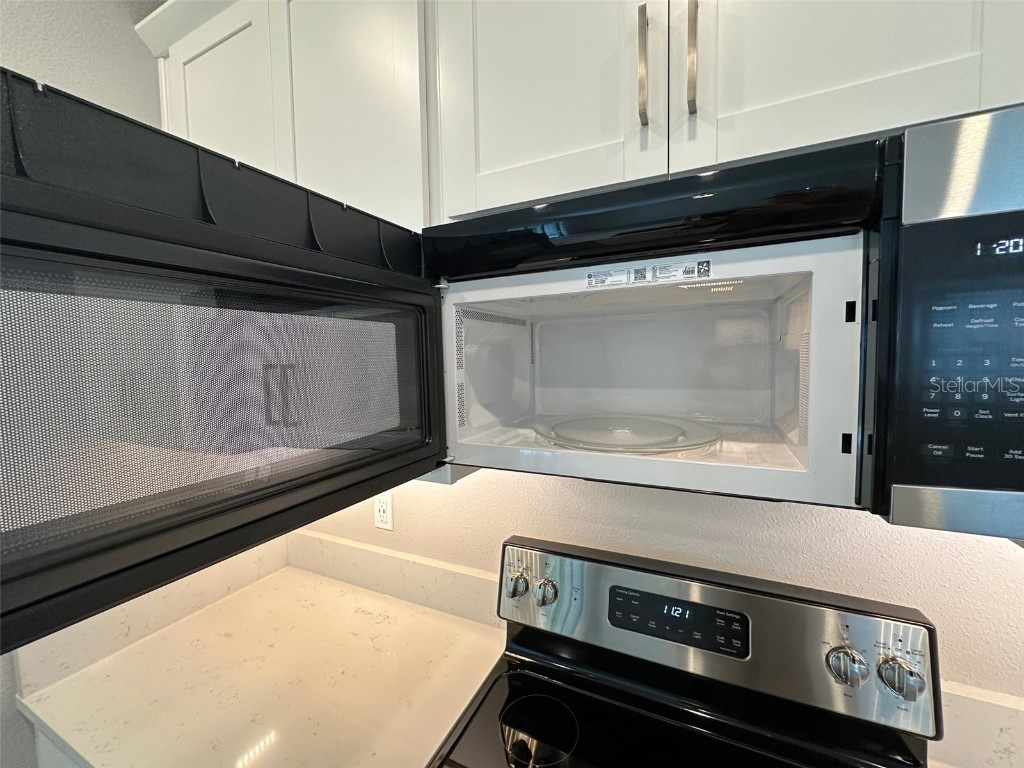 17216 Mango Shay Court Land O Lakes FL 34638 TB8452342 image12