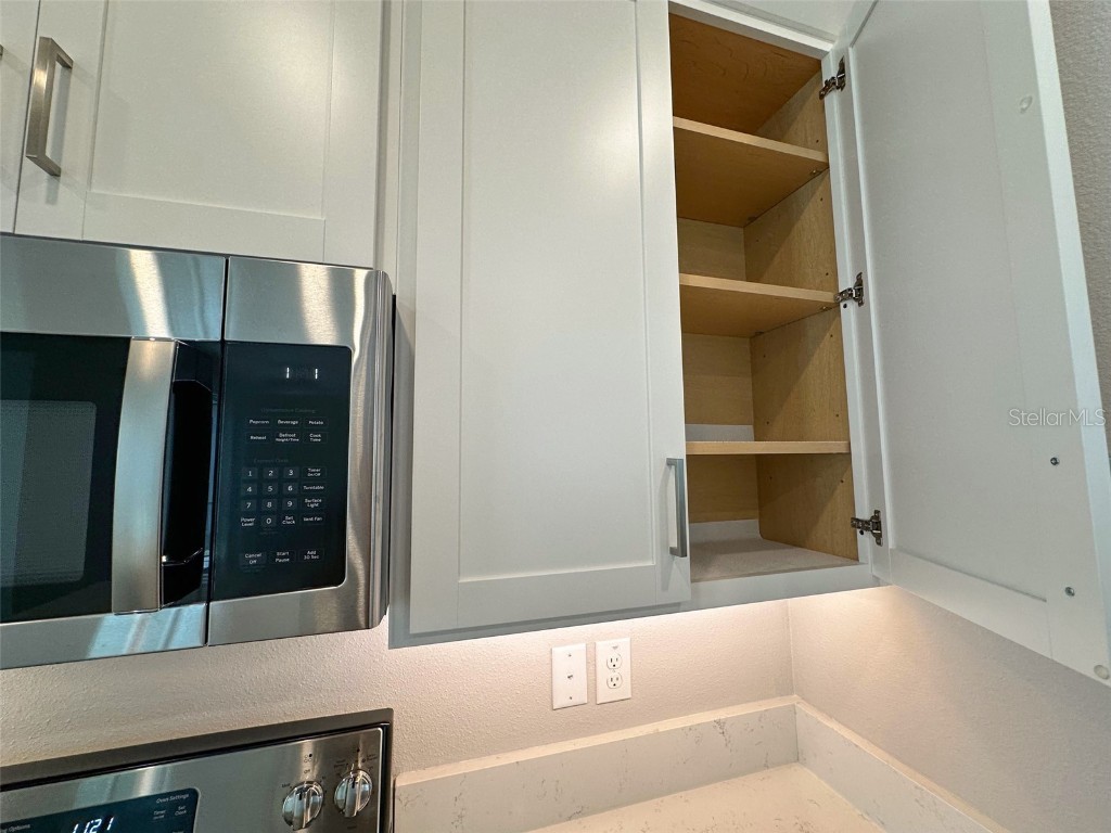 17216 Mango Shay Court Land O Lakes FL 34638 TB8452342 image15