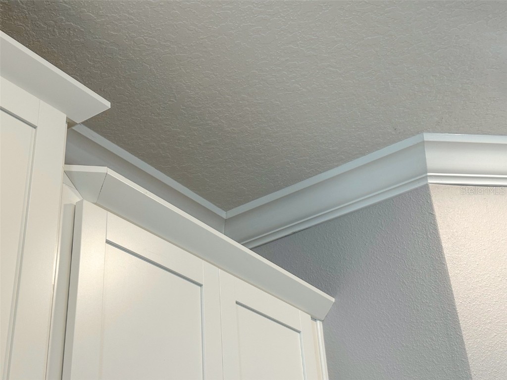 17216 Mango Shay Court Land O Lakes FL 34638 TB8452342 image16