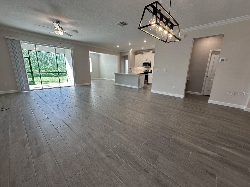 17216 Mango Shay Court Land O Lakes FL 34638 TB8452342 image39