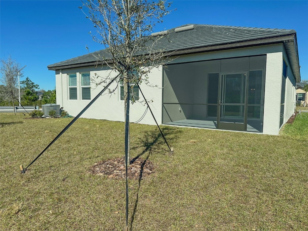 17216 Mango Shay Court Land O Lakes FL 34638 TB8452342 image45