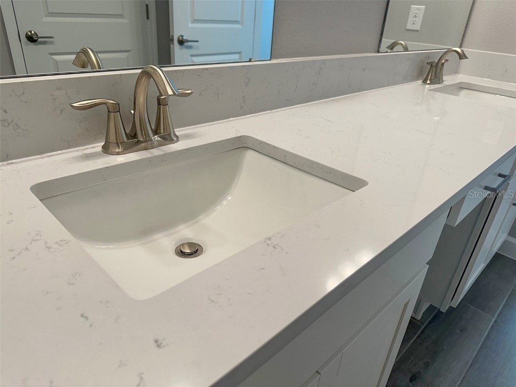 17216 Mango Shay Court Land O Lakes FL 34638 TB8452342 image51