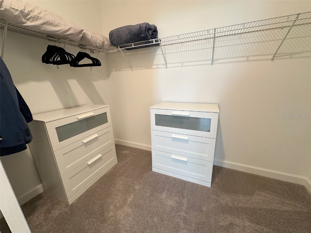 17216 Mango Shay Court Land O Lakes FL 34638 TB8452342 image53