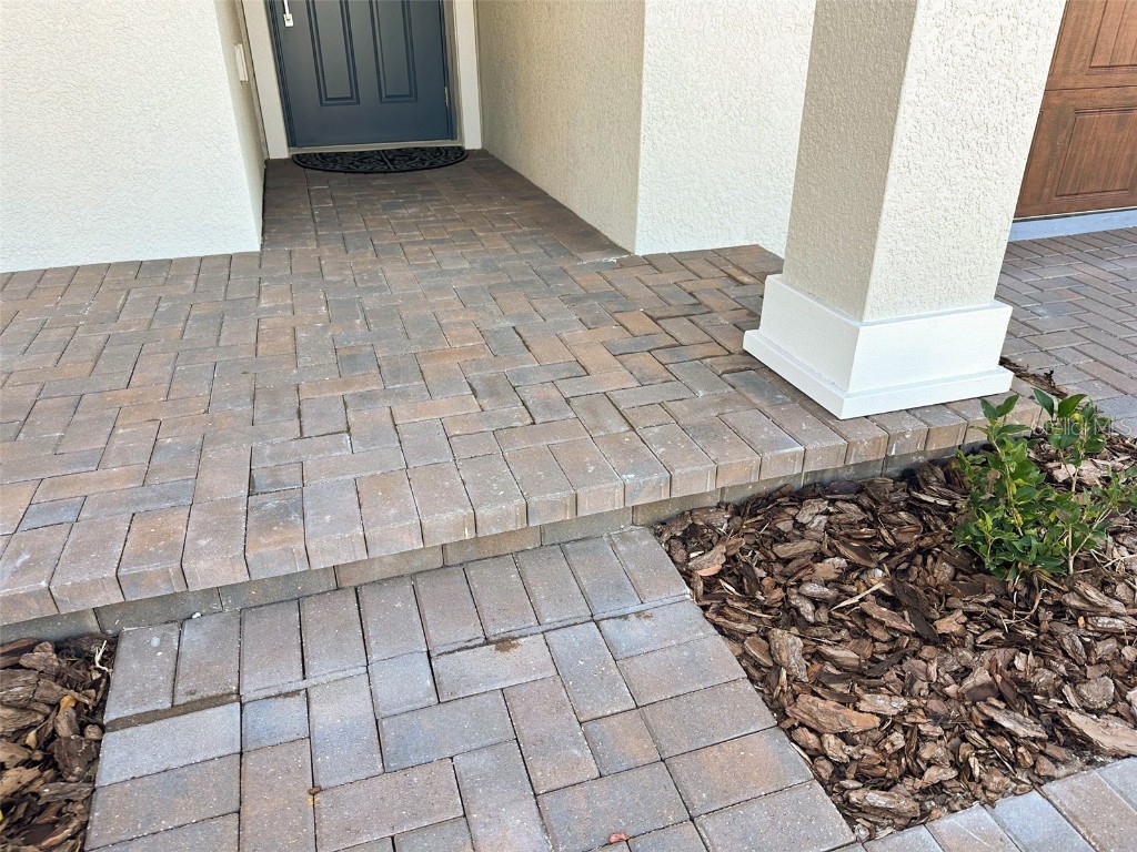 17216 Mango Shay Court Land O Lakes FL 34638 TB8452342 image55