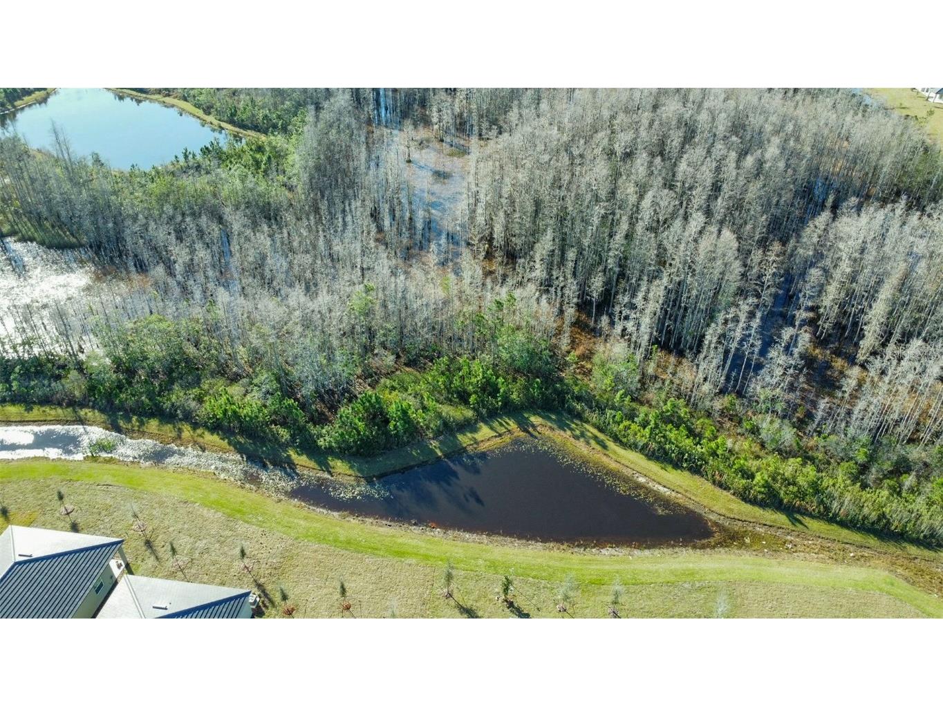 17216 Mango Shay Court Land O Lakes FL 34638 TB8452342 image57