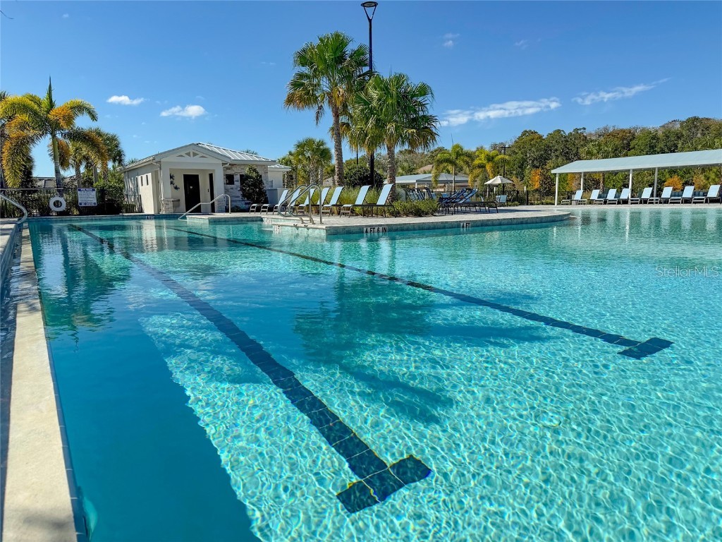 17216 Mango Shay Court Land O Lakes FL 34638 TB8452342 image74