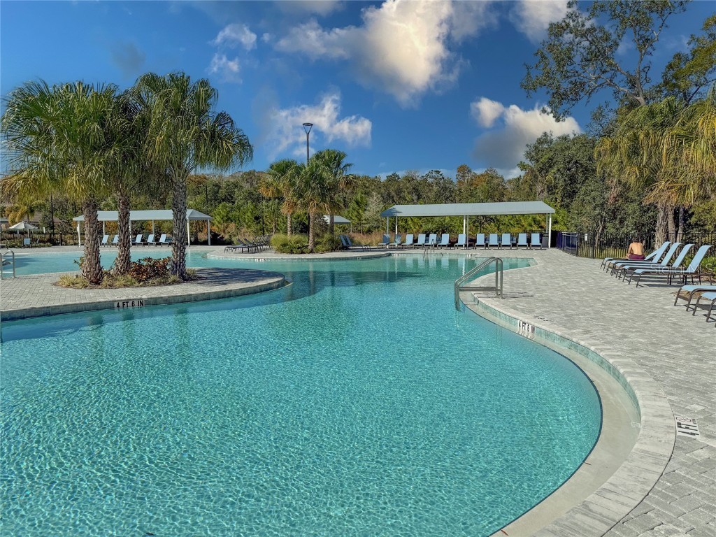 17216 Mango Shay Court Land O Lakes FL 34638 TB8452342 image75