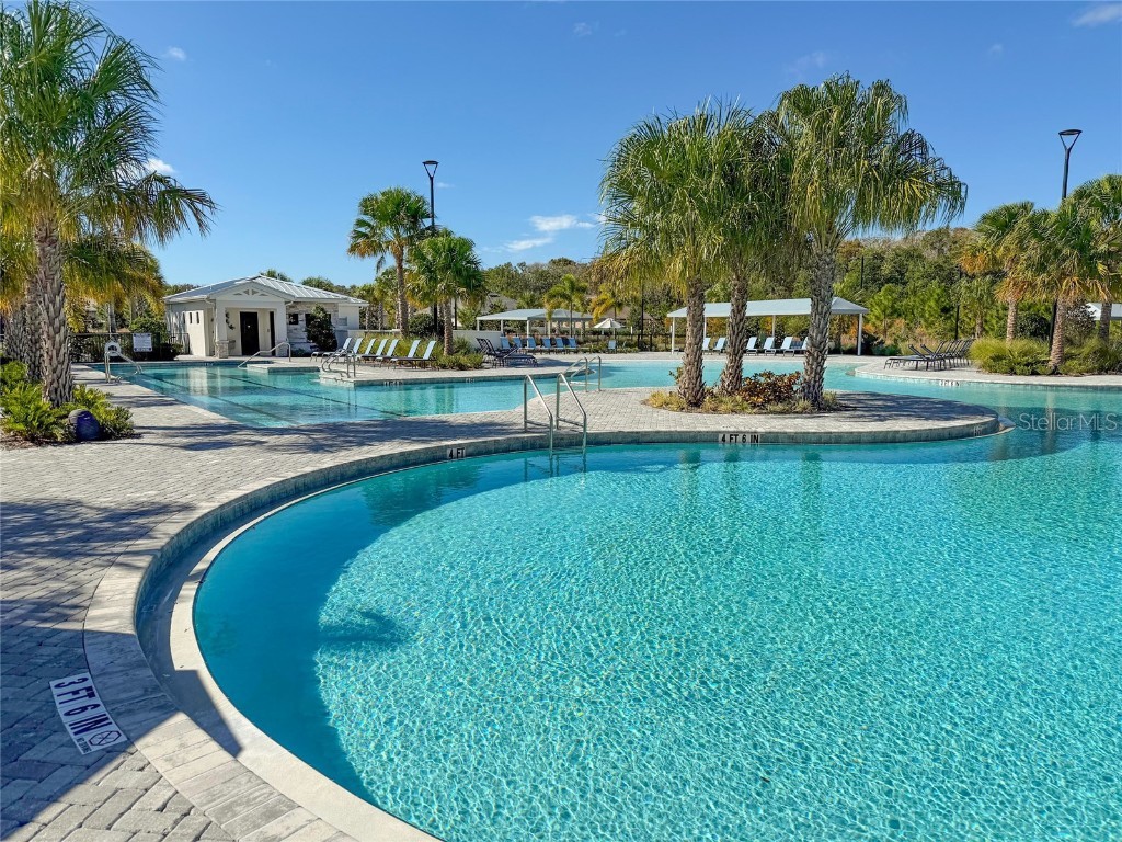 17216 Mango Shay Court Land O Lakes FL 34638 TB8452342 image76