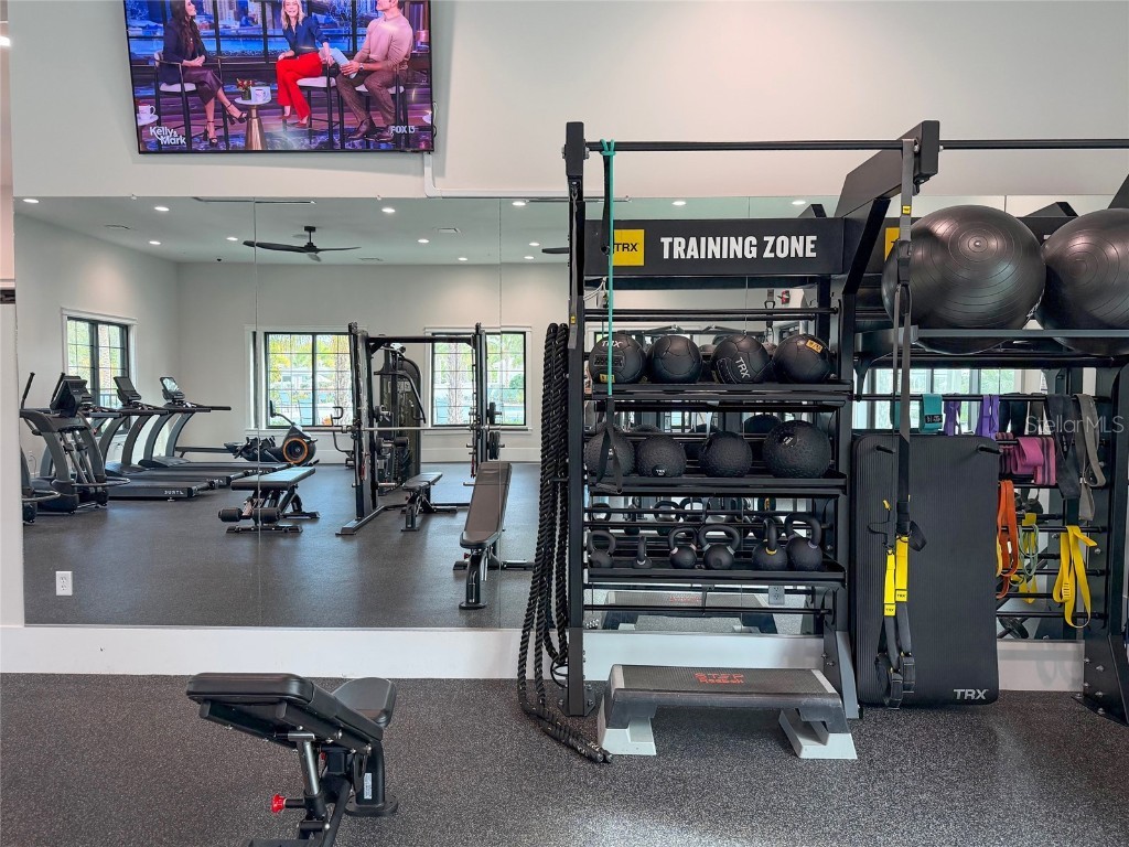 17216 Mango Shay Court Land O Lakes FL 34638 TB8452342 image79