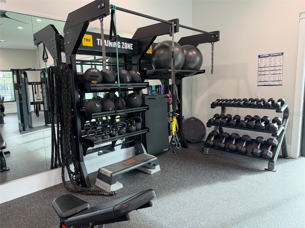 17216 Mango Shay Court Land O Lakes FL 34638 TB8452342 image80