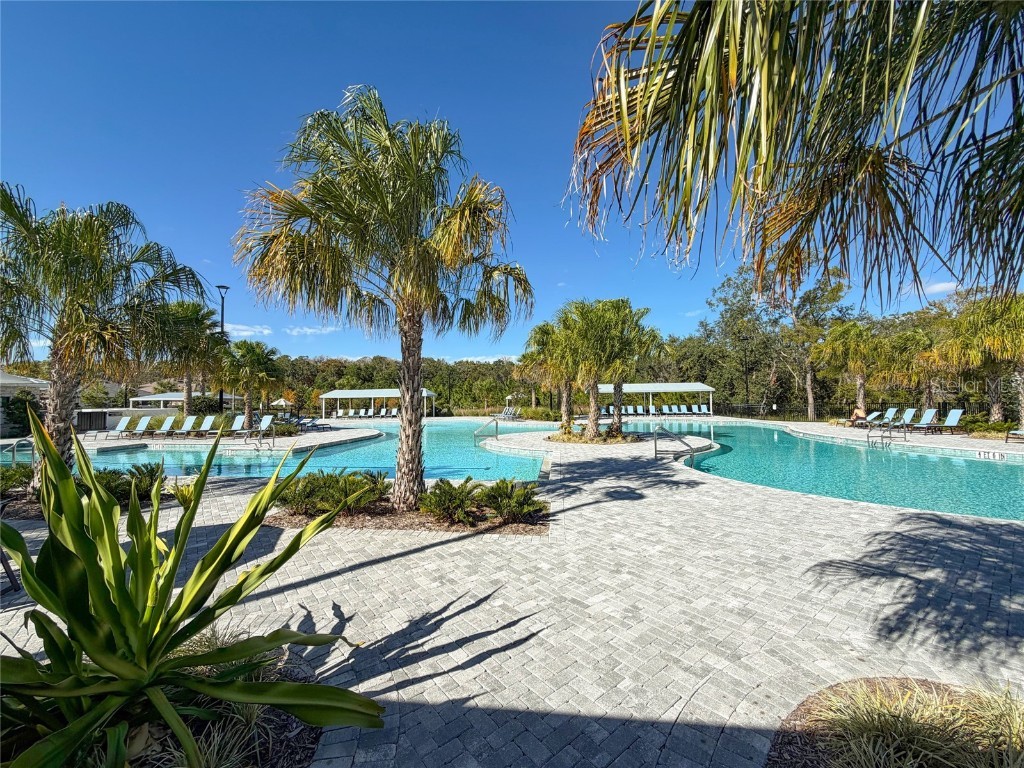 17216 Mango Shay Court Land O Lakes FL 34638 TB8452342 image84