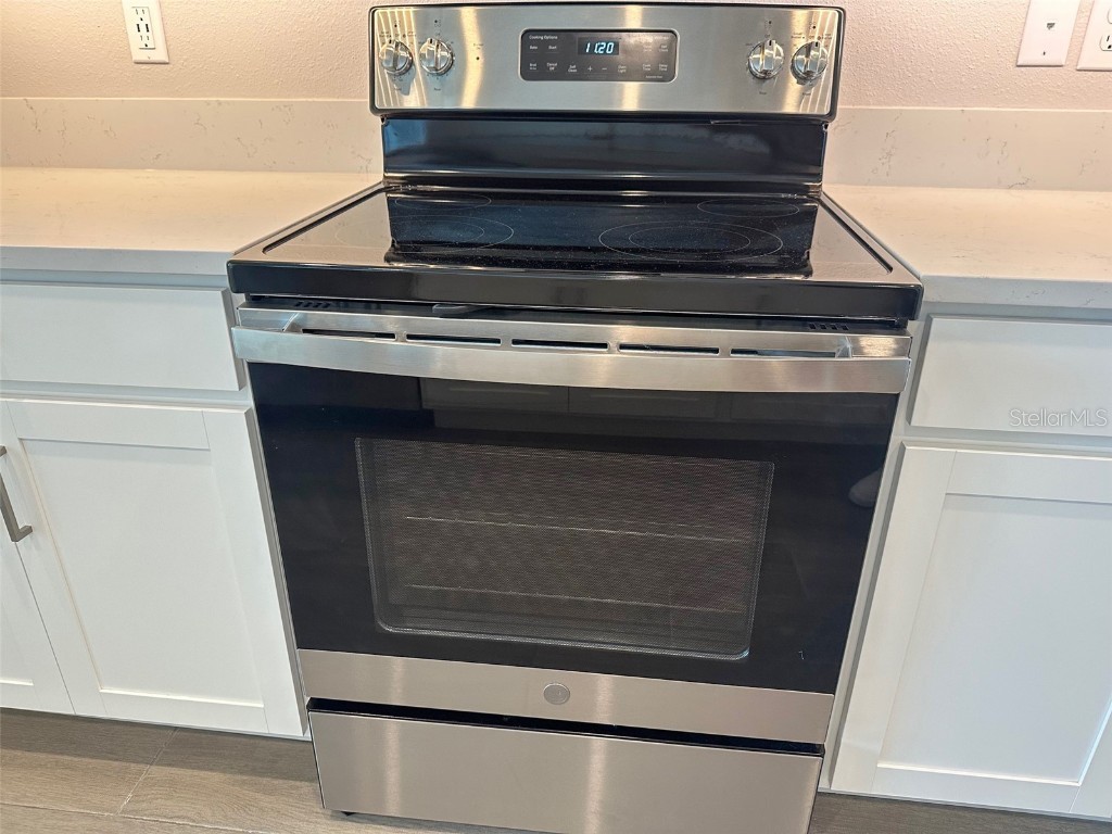 17216 Mango Shay Court Land O Lakes FL 34638 TB8452342 image9