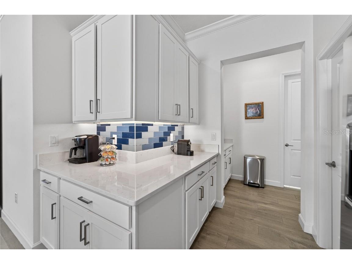 17216 Scuba Crest Street Wimauma FL 33598 TB8455130 image11