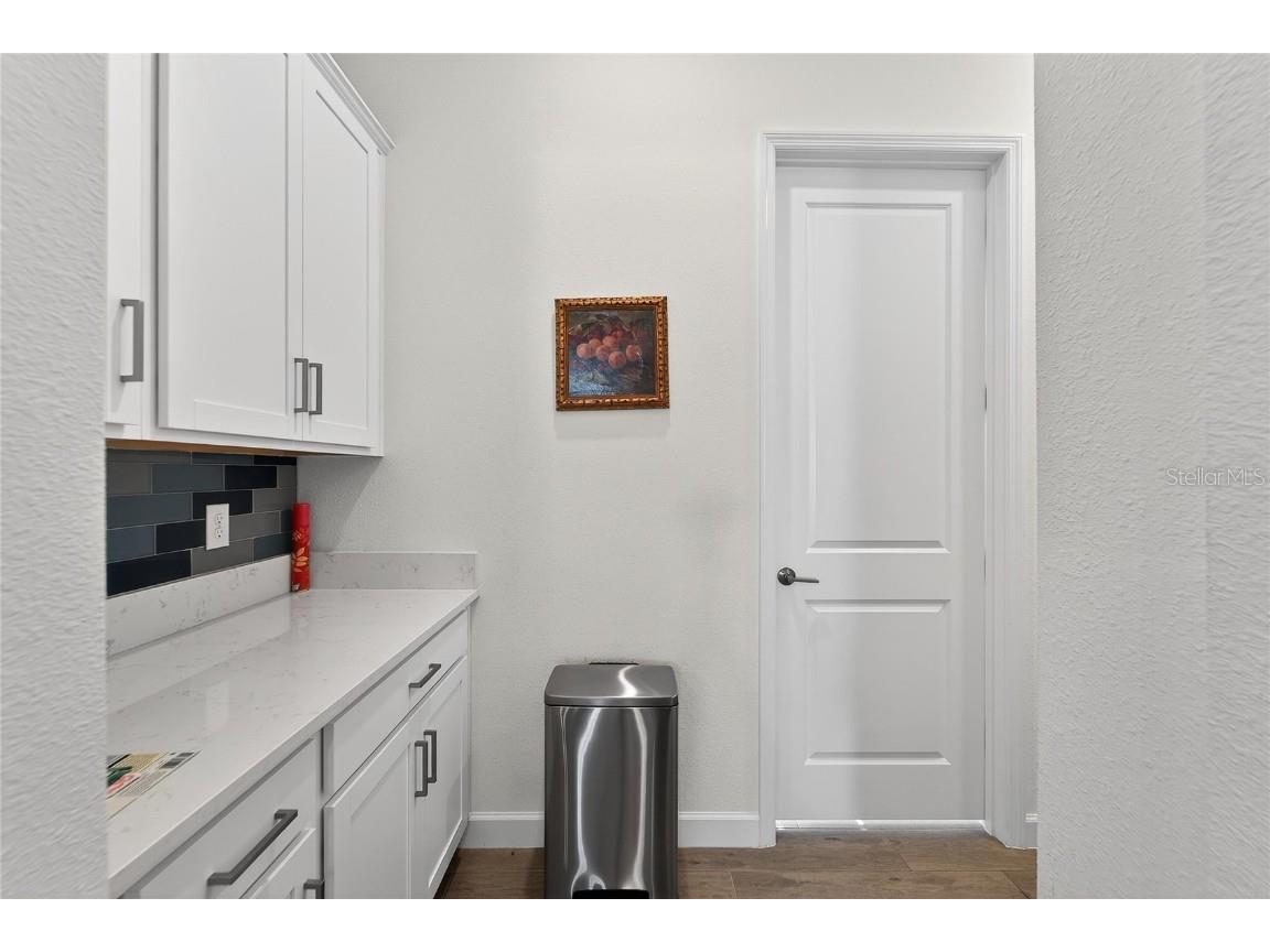 17216 Scuba Crest Street Wimauma FL 33598 TB8455130 image12