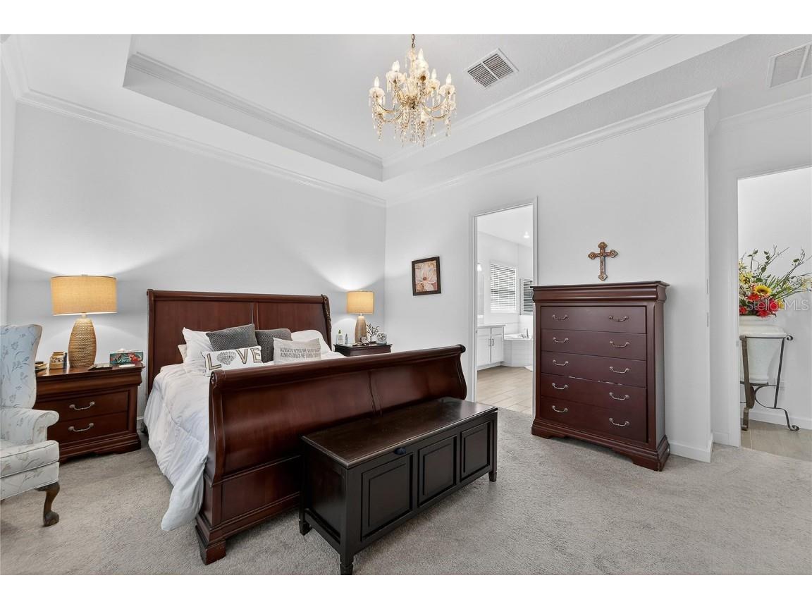 17216 Scuba Crest Street Wimauma FL 33598 TB8455130 image28