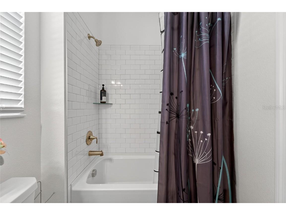 17216 Scuba Crest Street Wimauma FL 33598 TB8455130 image49