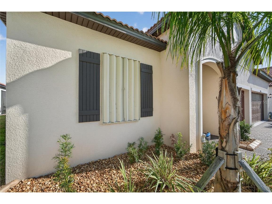 17216 Scuba Crest Street Wimauma FL 33598 TB8455130 image64