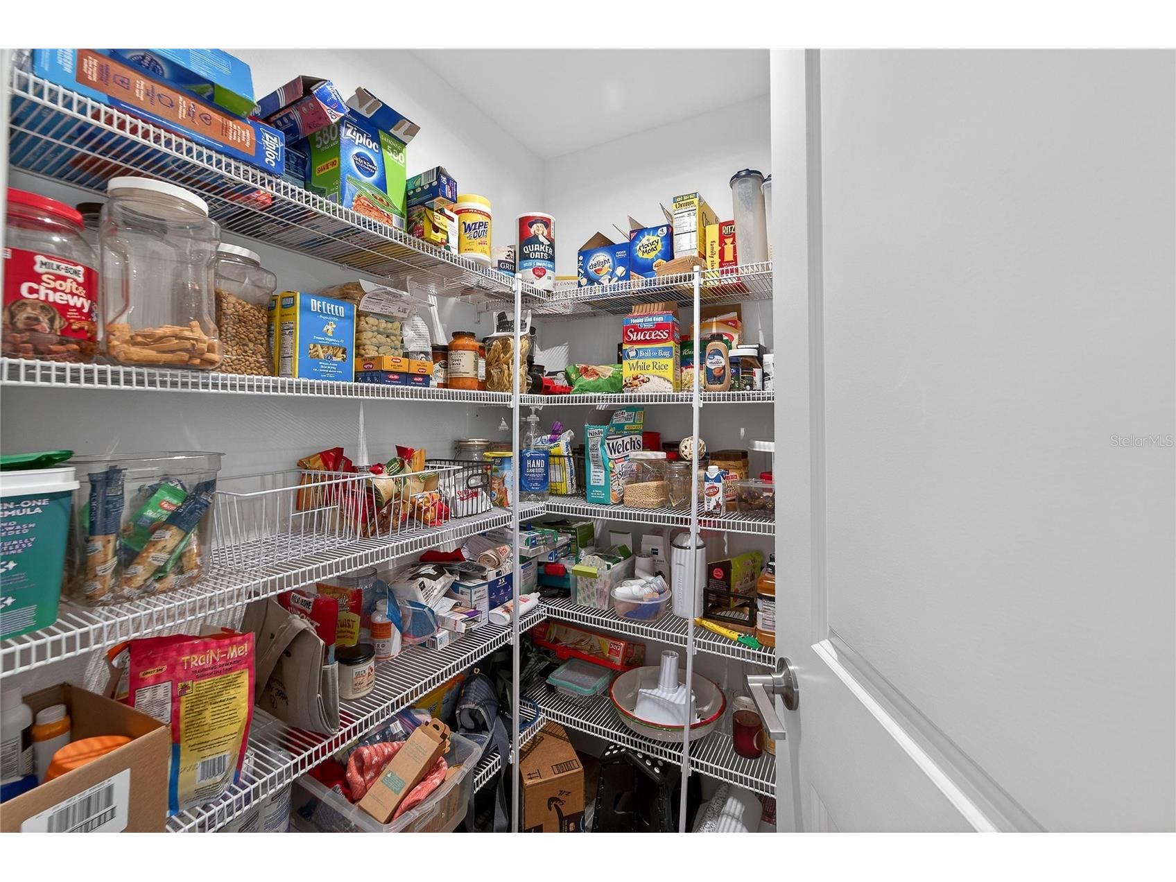 17216 Scuba Crest Street Wimauma FL 33598 TB8528394 image11