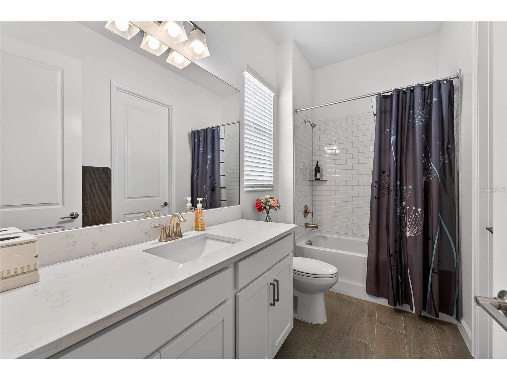 17216 Scuba Crest Street Wimauma FL 33598 TB8528394 image22