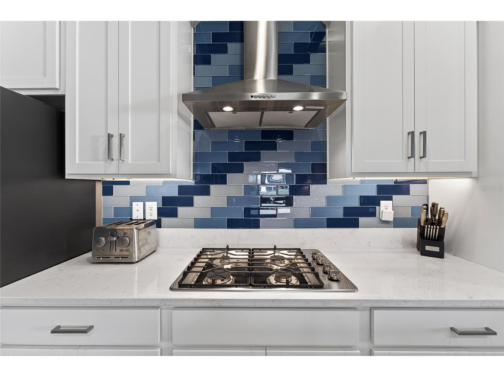 17216 Scuba Crest Street Wimauma FL 33598 TB8528394 image9