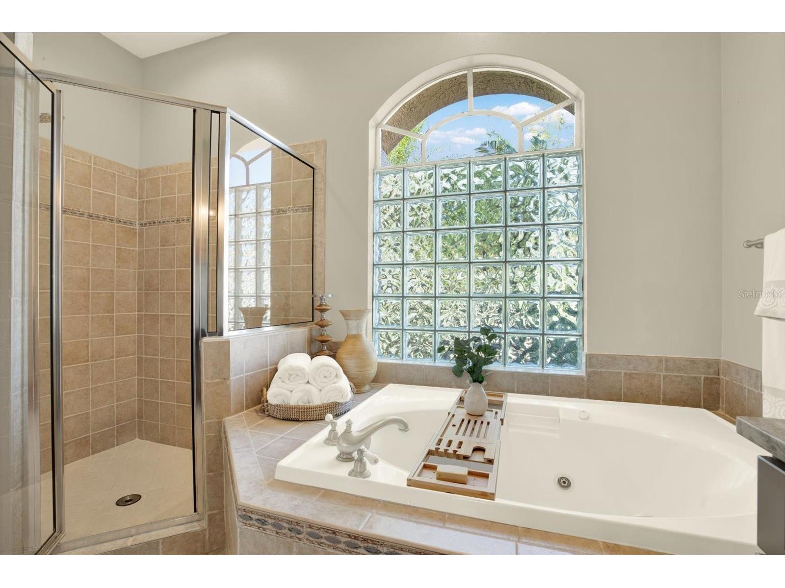 17217 Tiffany Shore Drive Lutz FL 33549 TB8471494 image27