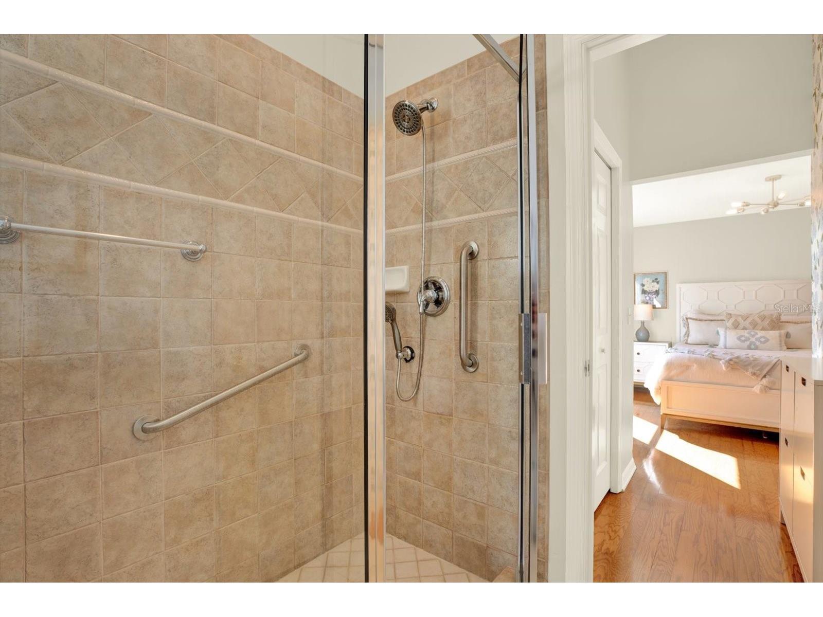 17217 Tiffany Shore Drive Lutz FL 33549 TB8471494 image44