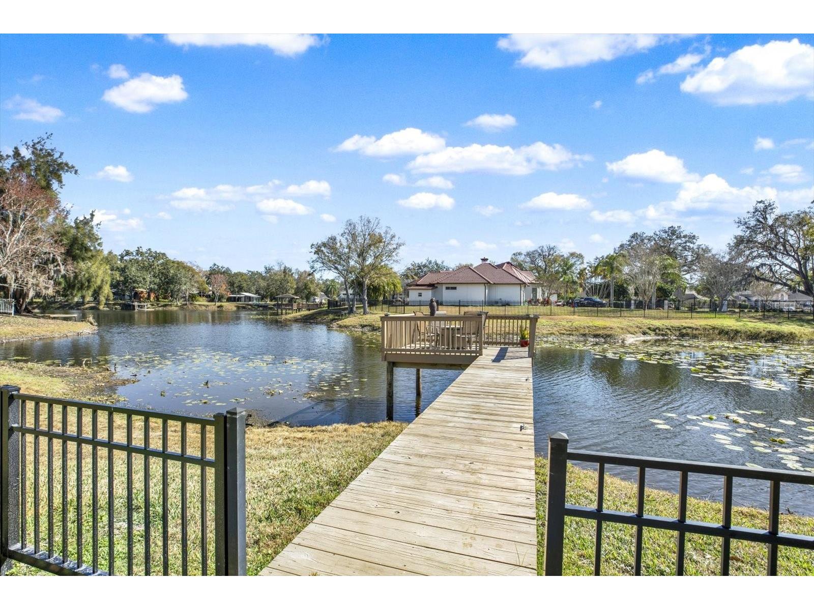 17217 Tiffany Shore Drive Lutz FL 33549 TB8471494 image53