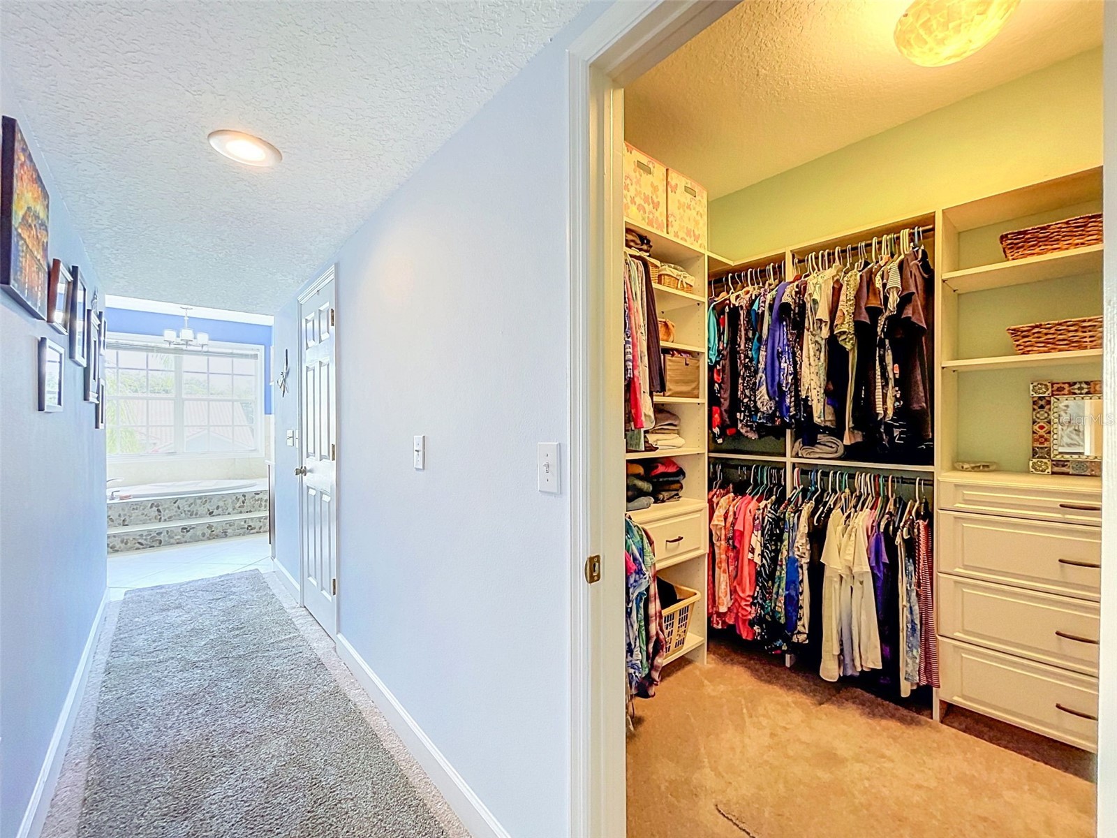 1722 Arabian Lane Palm Harbor FL 34685 TB8523699 image41