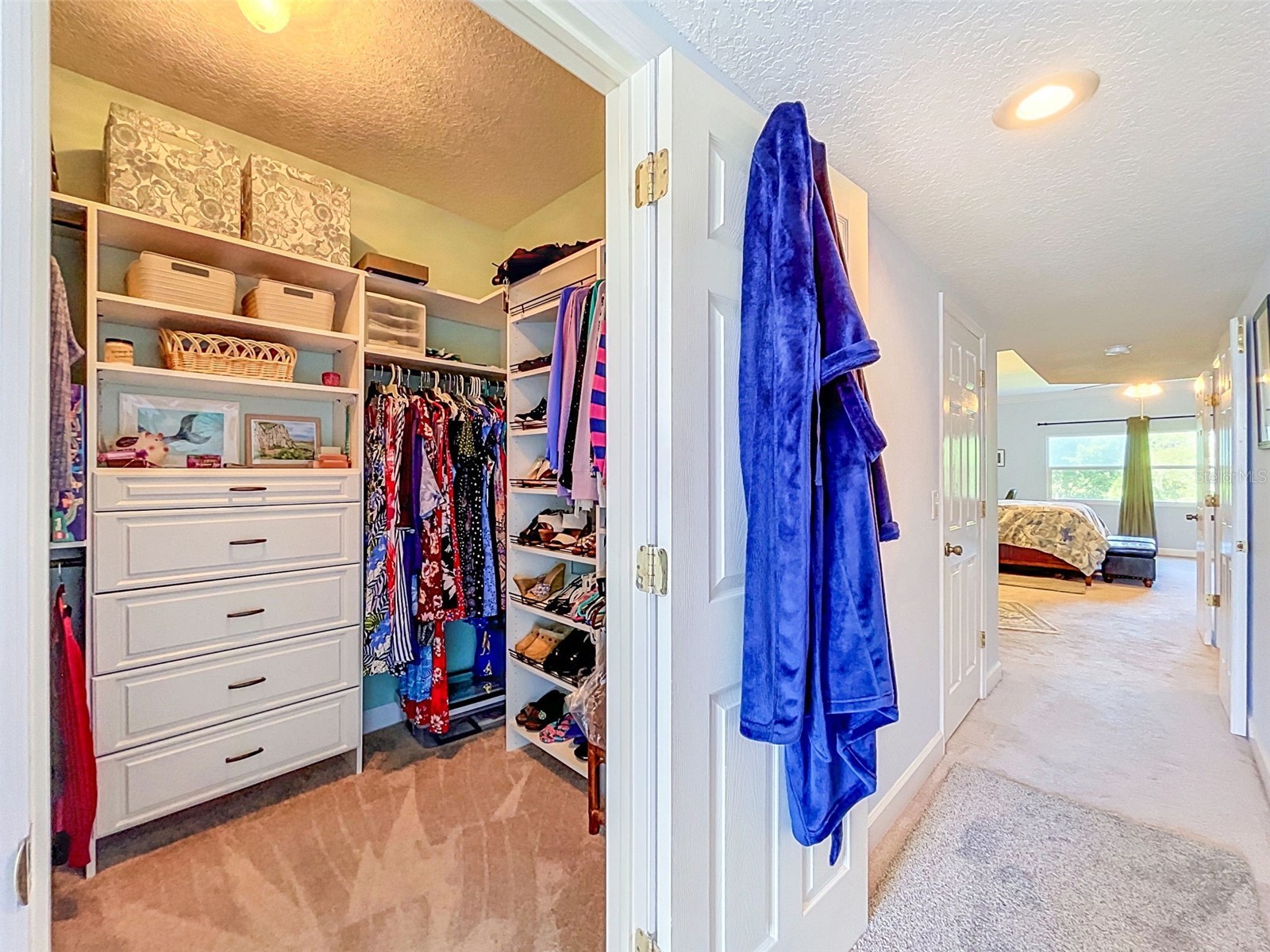 1722 Arabian Lane Palm Harbor FL 34685 TB8523699 image42